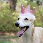 H&K Celebration D&C Party Crown Pink Small