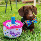 H&K Power Plush Dog Happy Barkday Cake Large Squeak Crinkle