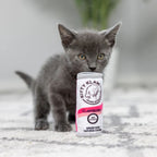 H&K C Kitty Klaw Clawberry Organic Catnip Plush Crinkle
