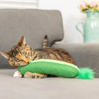 H&K C Kicker Pickle Organic Catnip Plush Crinkle
