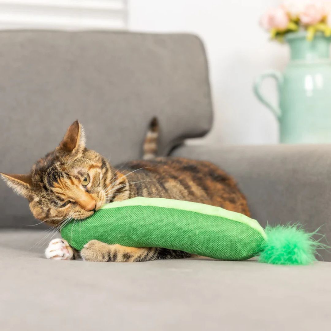 H&K C Kicker Pickle Organic Catnip Plush Crinkle