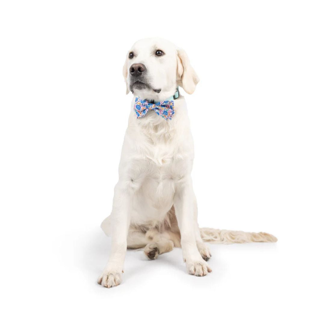 H&K Celebration D&C Bow Tie Happy Got Me Day Small