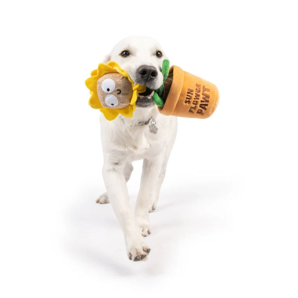 H&K Seek 'N Treat D Sunflower Pawt Small Plush Squeak Crinkle
