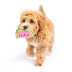 H&K Tiny Tuff D Walter Melon Plush Squeak Crinkle