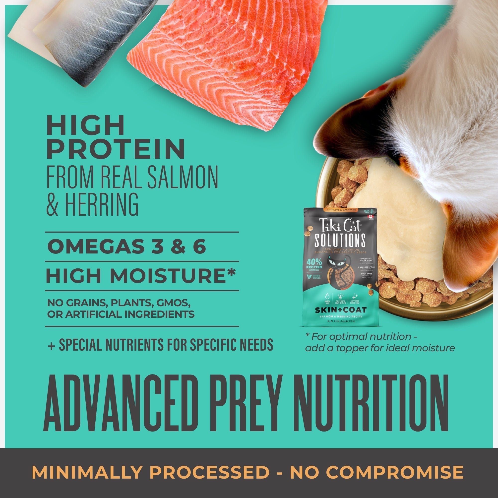 Tiki Pet Cat Solutions Skin & Coat Salmon 2.8Lb