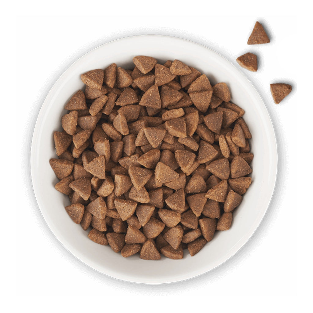 Tiki Pet Cat Born Carnivore Indoor Chicken & Turkey 3Lb