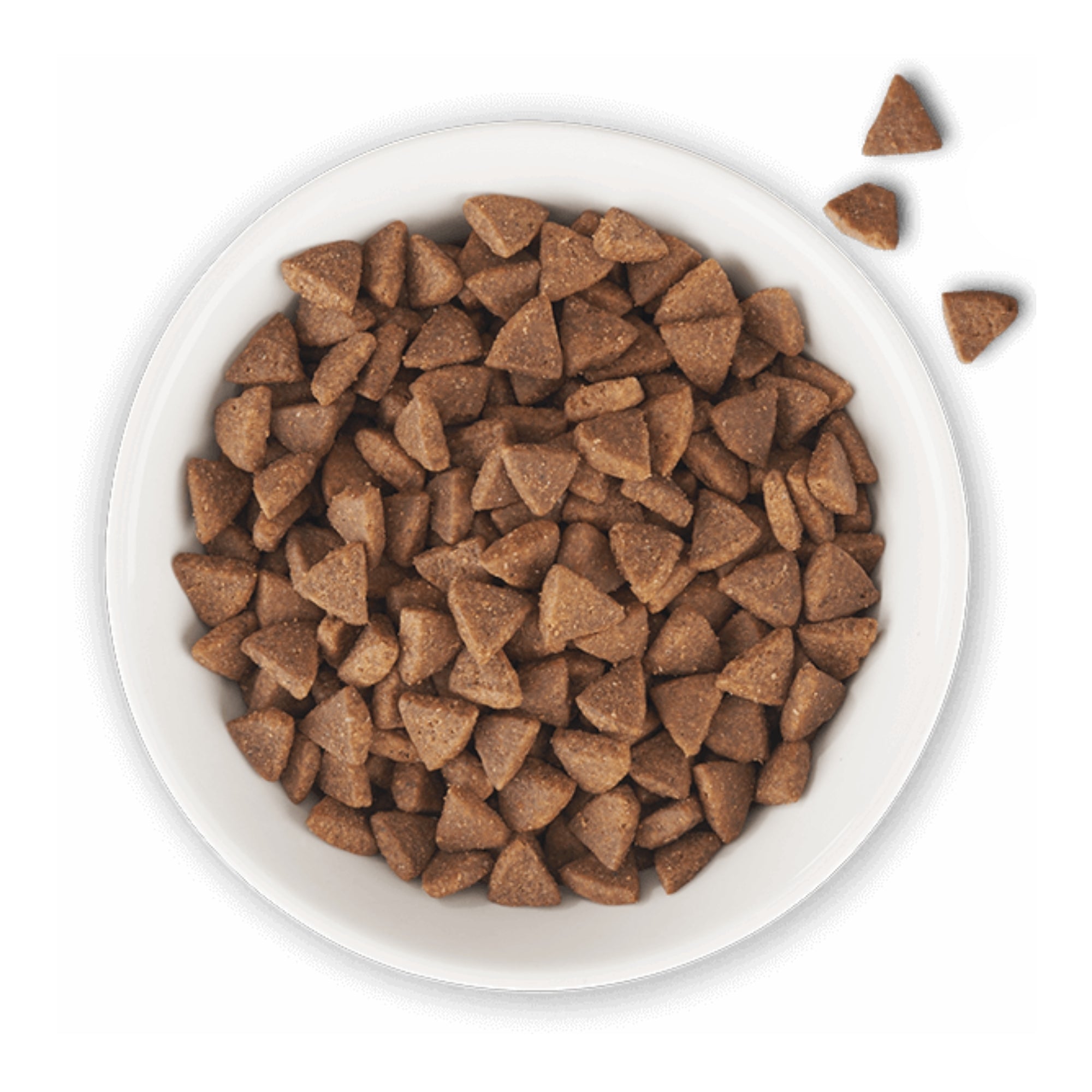 Tiki Pet Cat Born Carnivore Indoor Chicken & Turkey 3Lb