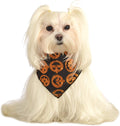 Rubies Glitter Pumpkin Bandana S-M