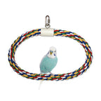 JW Pet Swing N Perch Ring Multi-Color 1ea/LG