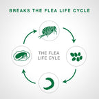 Advantage II Cat Large Purple 2-Pack (3packs)