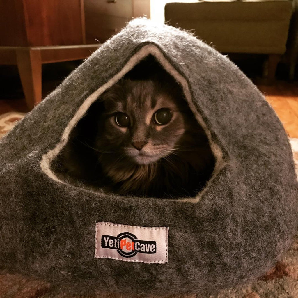 Yeti Pet Cave Gray 22 X 20/9"