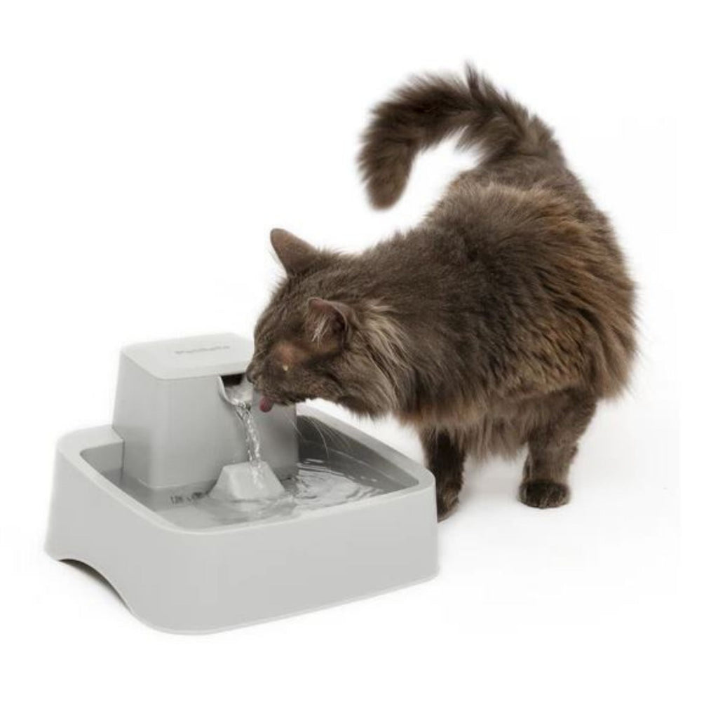 Petsafe Dog & Cat Drinkwell Fountain - 1 Gallon