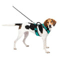 Petsafe Dog Easy Sport Harness Teal Large