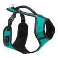 Petsafe Dog Easy Sport Harness Teal Medium