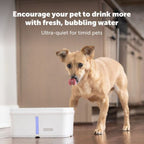 Petsafe Dog & Cat Viva Fountain Plastic Tray 140oz.