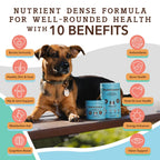 Natural Dog Company Dog Multivitamin Supplement Chews - 90 Count