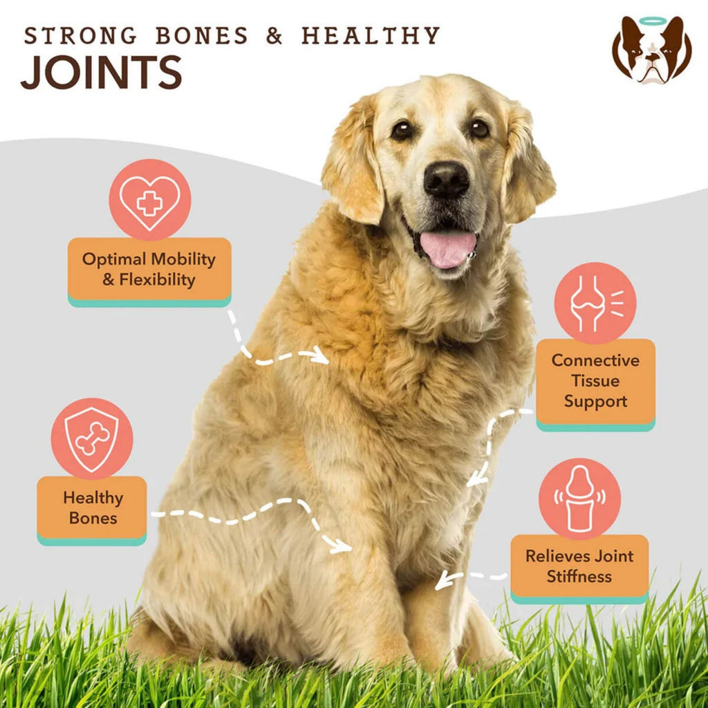 Natural Dog Company Dog Hip & Joint Supplement Chews - 90 Count