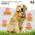Natural Dog Company Dog Hip & Joint Supplement Chews - 90 Count