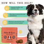 Natural Dog Company Dog Skin & Coat Supplement Chews - 90 Count