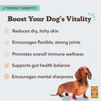 Natural Dog Company Dog & Cat Wild Alaskan Salmon Oil 16oz.