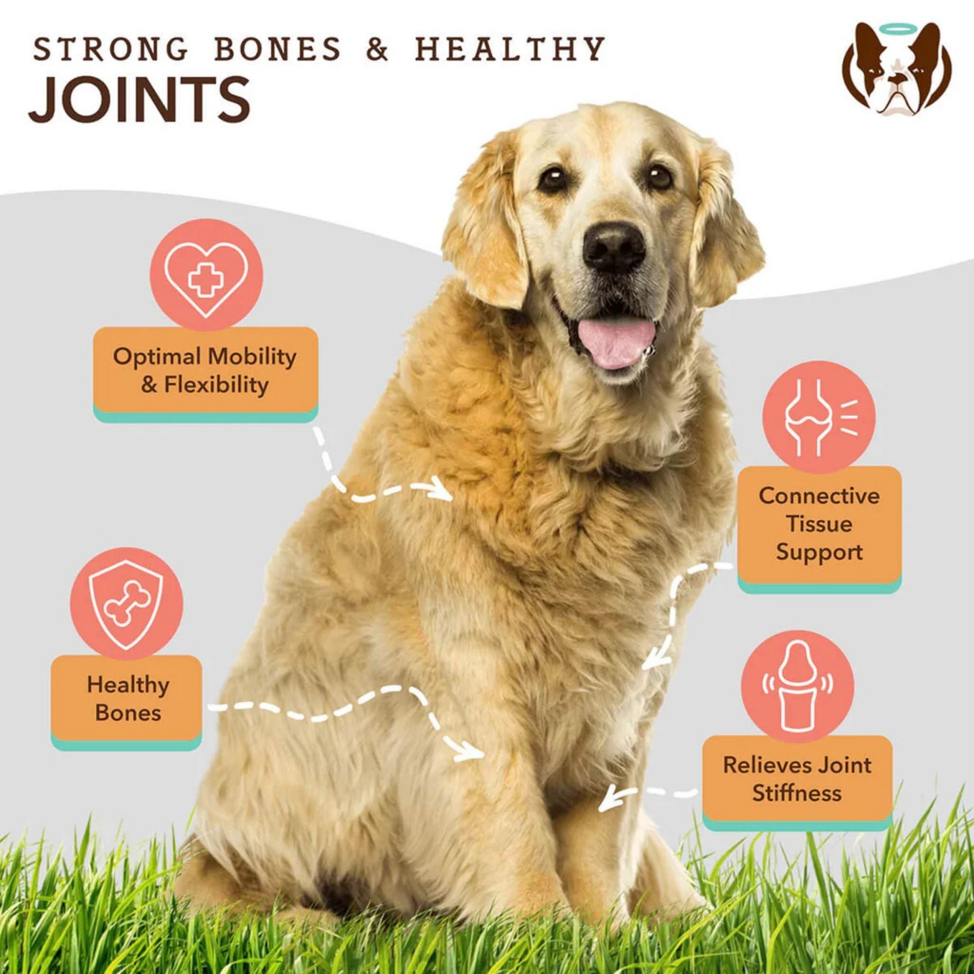 Natural Dog Company Dog Hip & Joint / Glucosamine Oil 16oz.