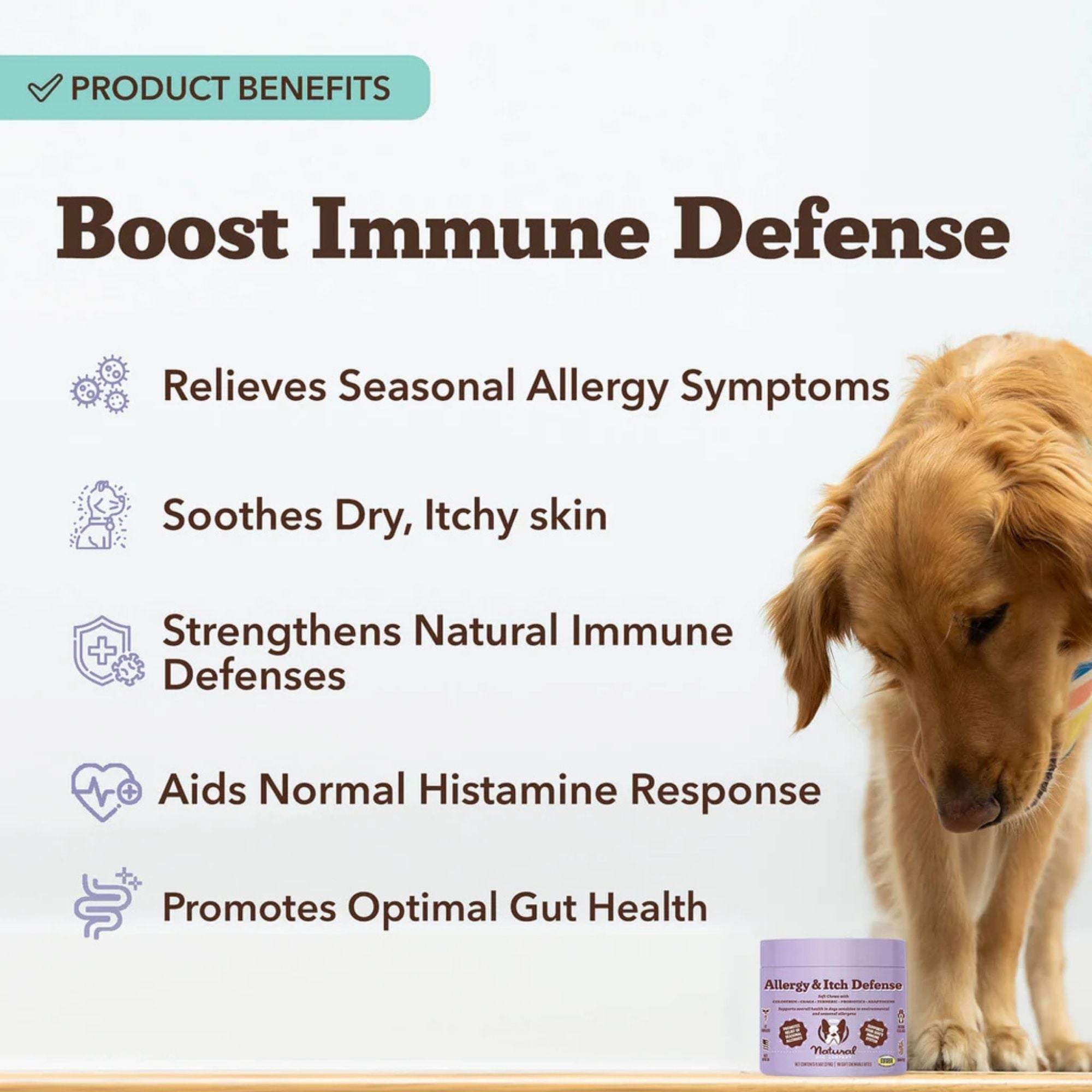 Natural Dog Company Dog Allergy & Itch Supplement Chews - 90 Count
