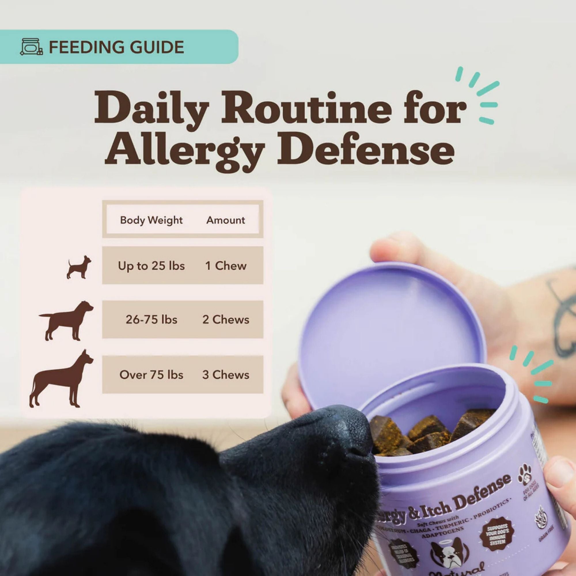 Natural Dog Company Dog Allergy & Itch Supplement Chews - 90 Count