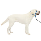 Petsafe Dog Gentle Leader Head Collar Royal Blue Large