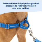 Petsafe Dog Easy Walk Harness Blue Large