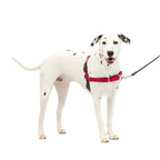Petsafe Dog Easy Walk Harness Red Medium / Large