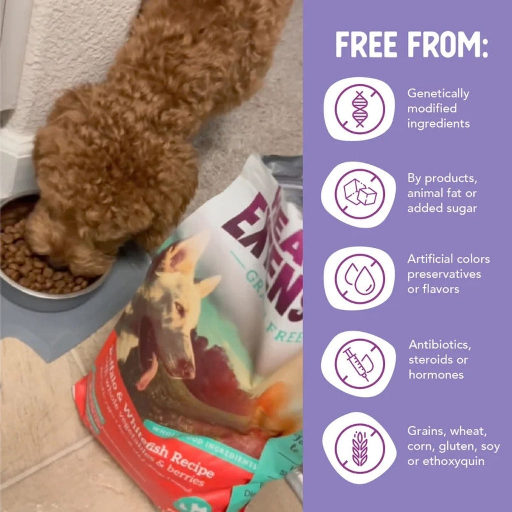 Health Extension Grain Free Buffalo Dry Dog Food 1lb.