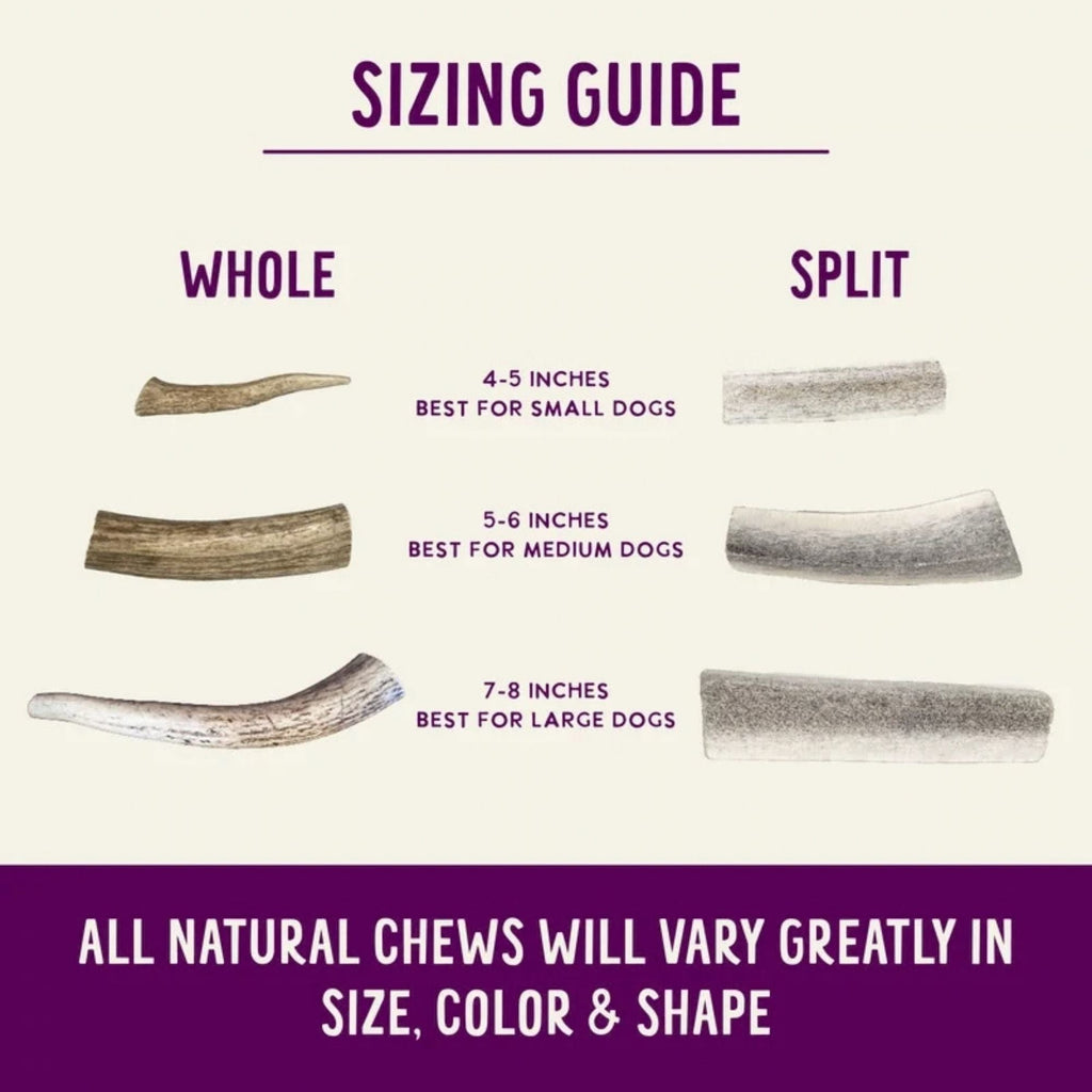 Health Extension Whole Antler Large