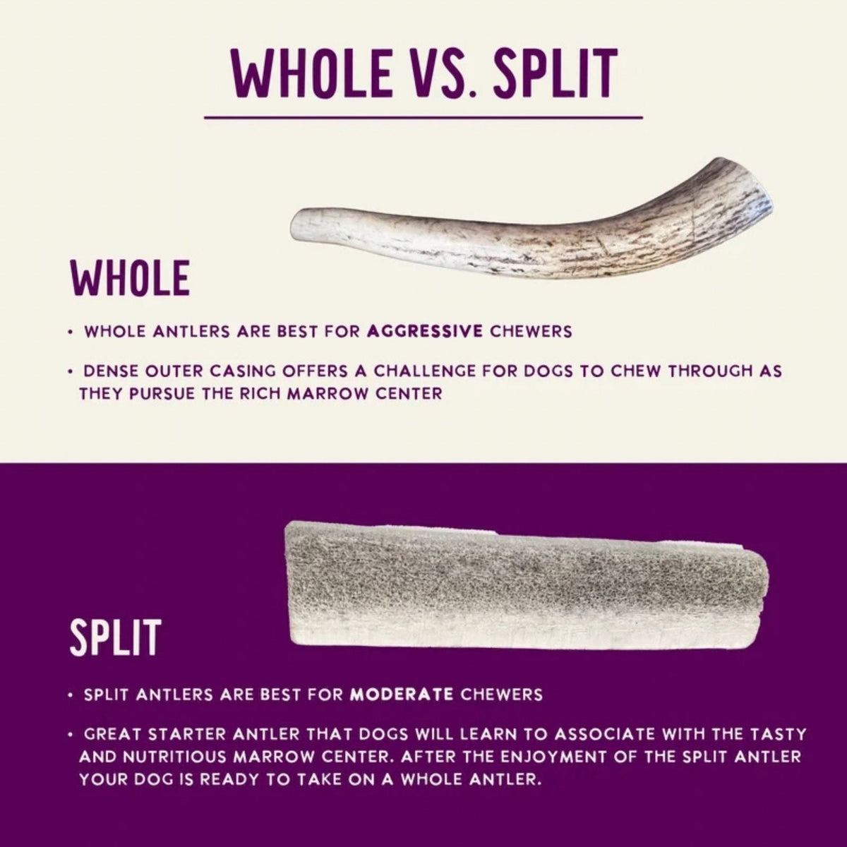 Health Extension Whole Antler Large