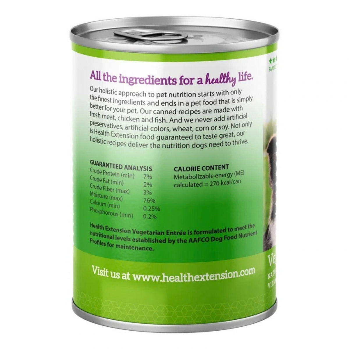 Health Extension Vegetarian Dog Food Canned 12.5oz. (Case of 12)