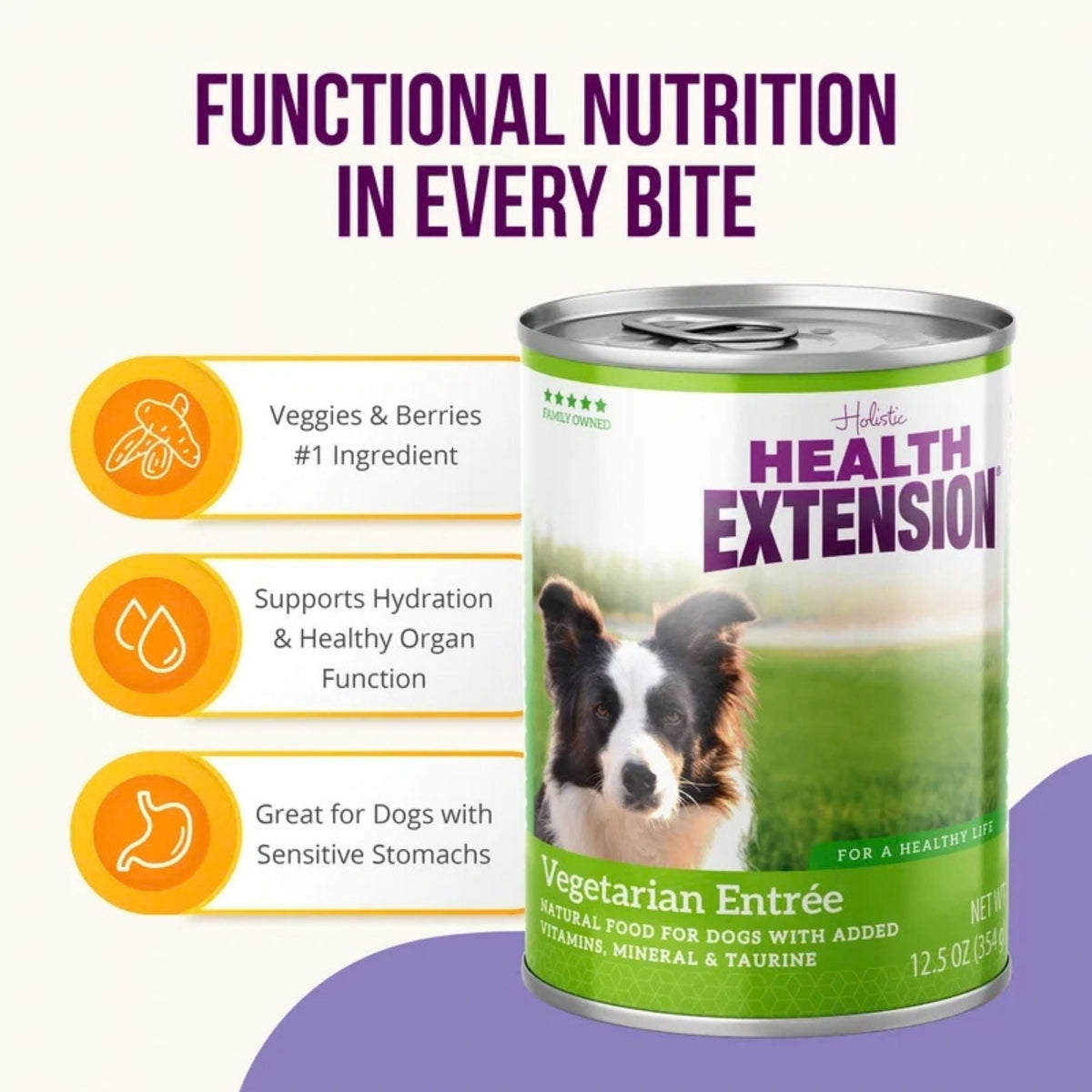 Health Extension Vegetarian Dog Food Canned 12.5oz. (Case of 12)