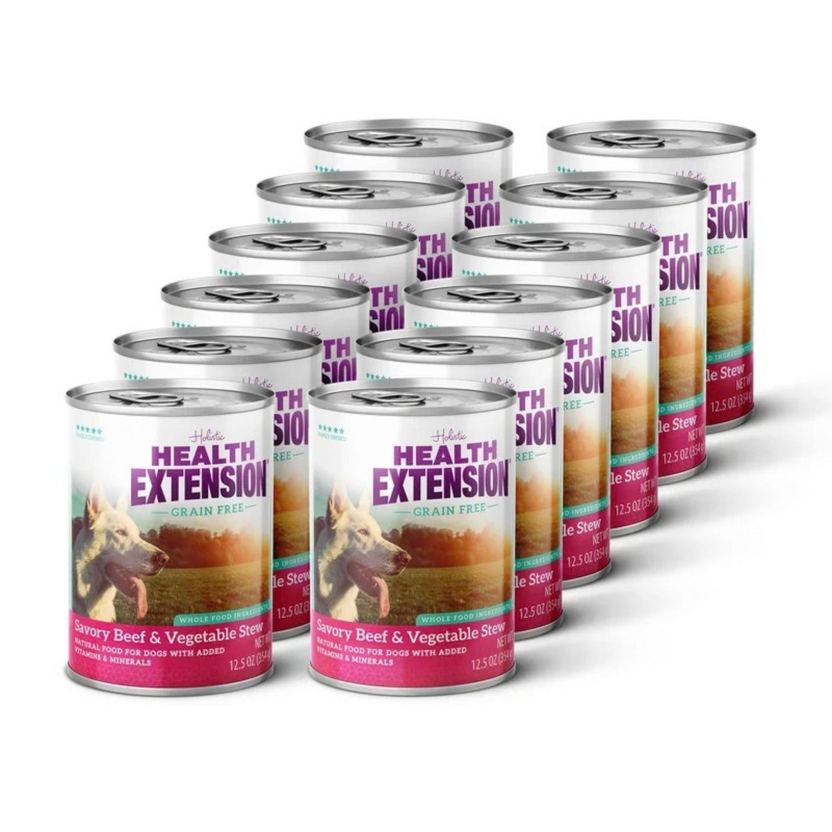 Health Extension Beef Stew Grain Free Wet Dog Food 13.2oz. (Case of 12)