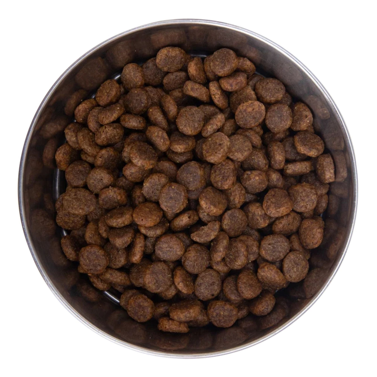 Health Extension Grain Free Salmon Dry Dog Food 4lb.