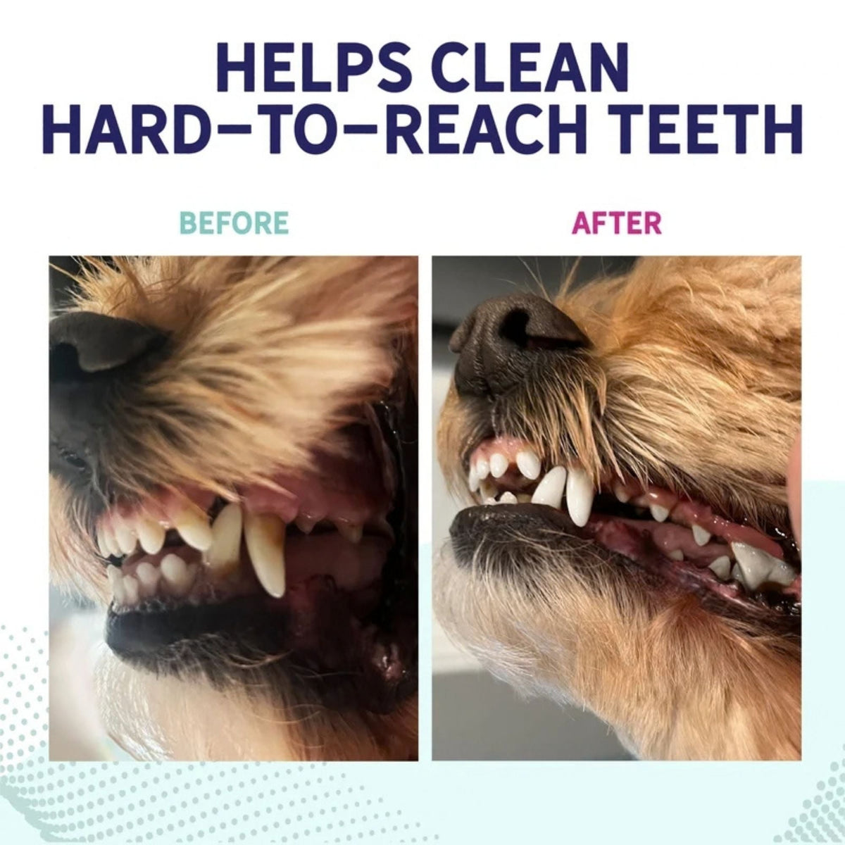 Health Extension Small Fresh Breath Dental Chews 14 pack