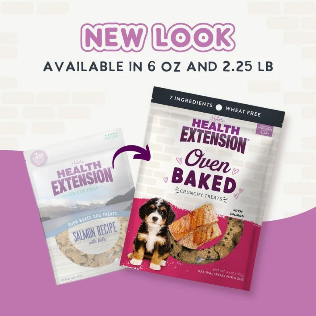 Health Extension Grain Free Salmon / Kale Dog Treat 6oz.
