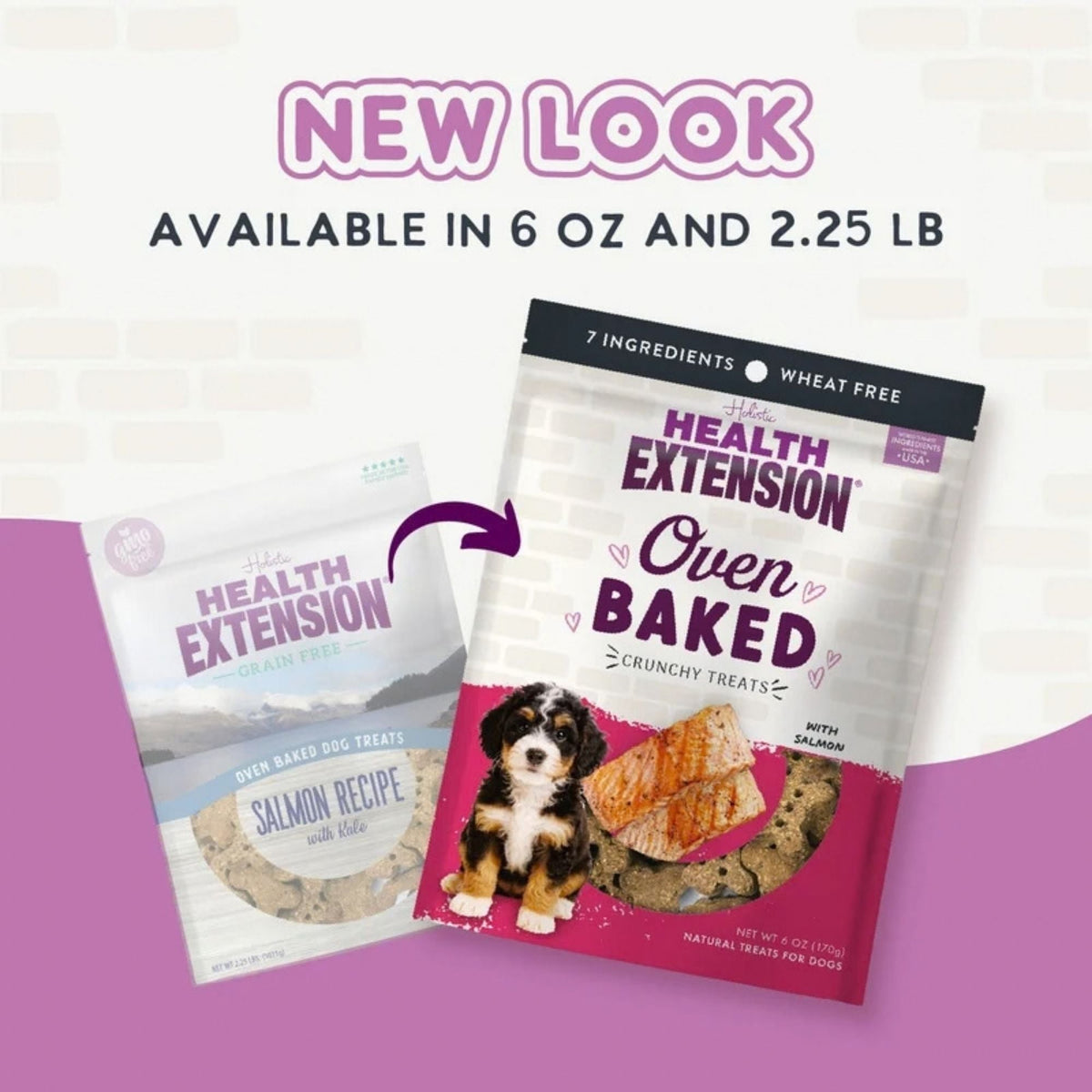Health Extension Grain Free Salmon / Kale Dog Treat 6oz.