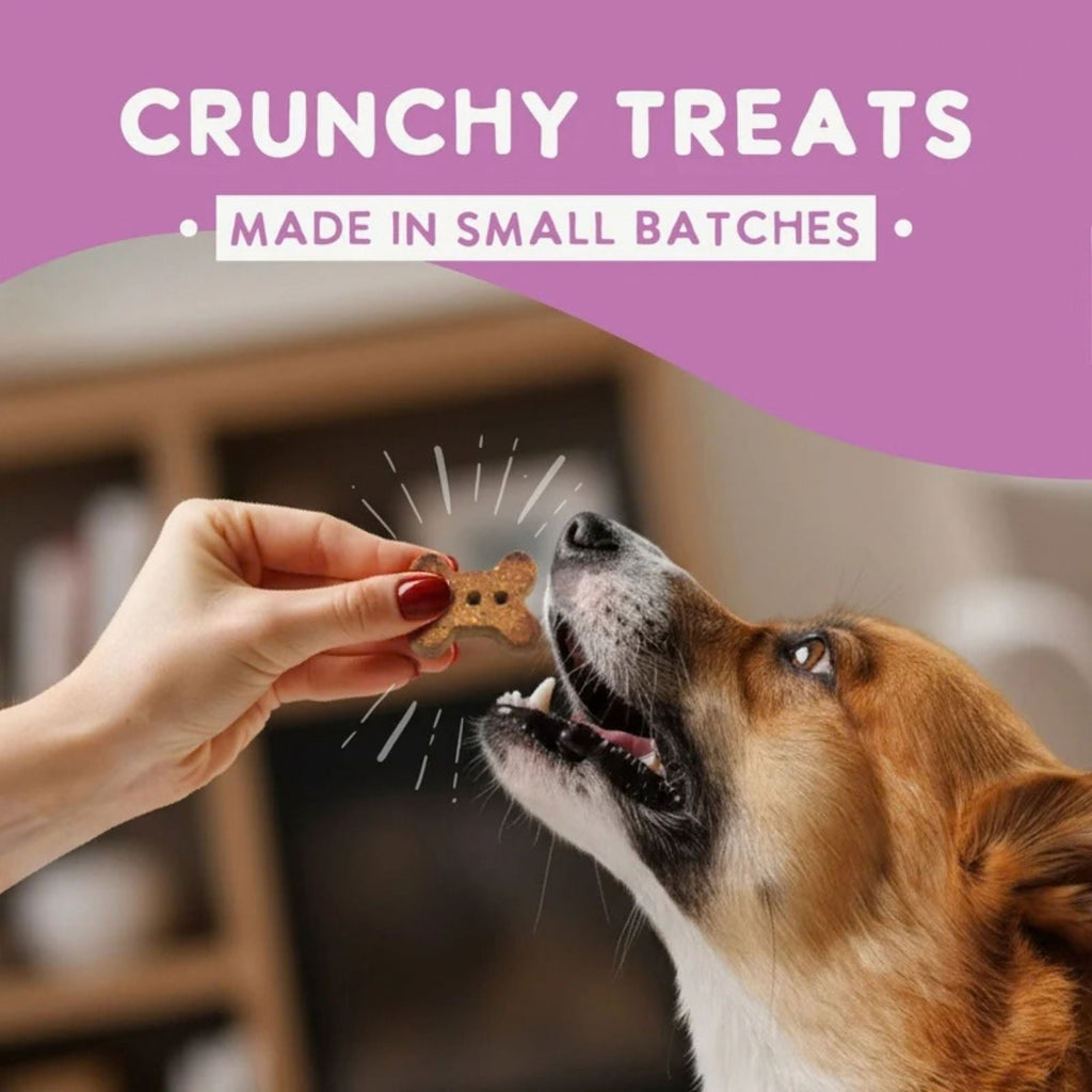 Health Extension Grain Free Salmon / Kale Dog Treat 6oz.