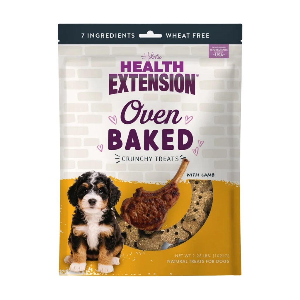 Health Extension Grain Free Lamb / Blueberry Dog Treats 2.25lb.