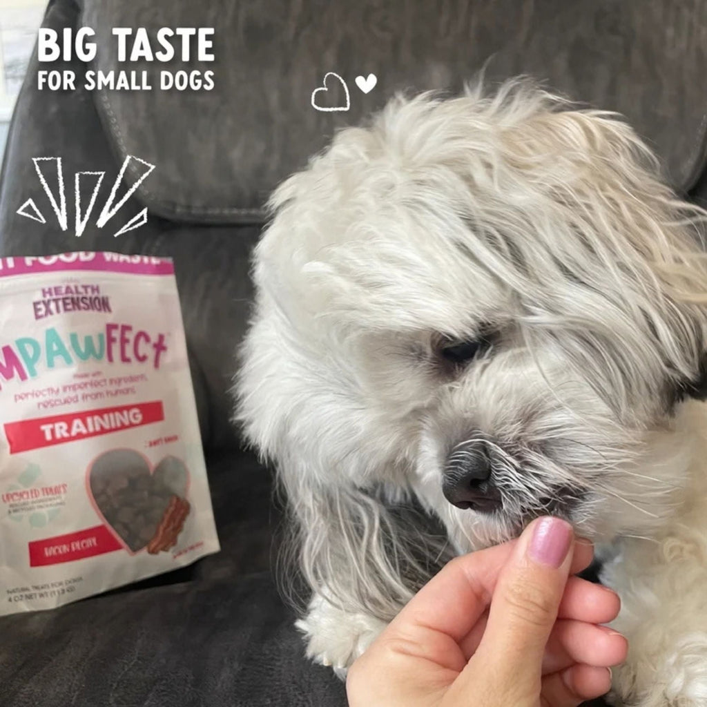 Health Extension Impawfect Bacon Training Treats 4oz. (Case of 3)