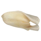 Redbarn Pet Products Cow Ears Dog Chew Bulk Box 1ea/100 ct