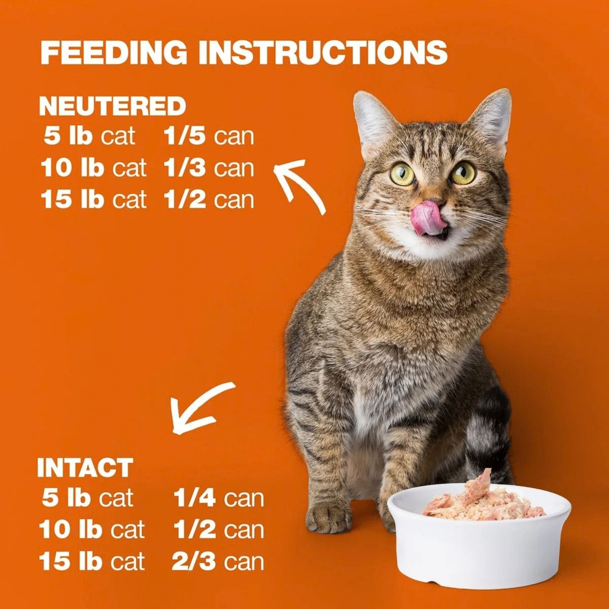Natural Code Cat High Protein Chicken & Shrimp In Broth For Adult Cats 3oz. (Case of 24)