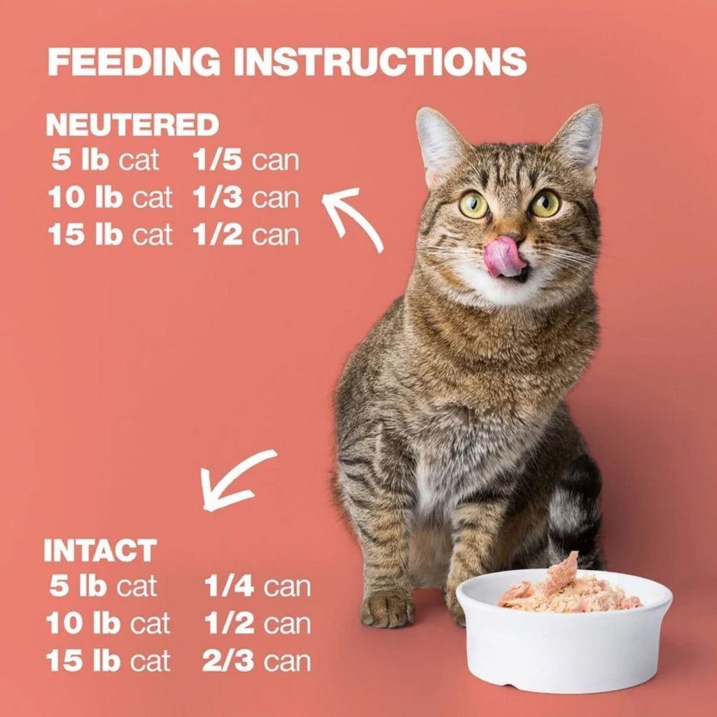 Natural Code Cat Chicken & Salmon 3oz. (Case of 24)