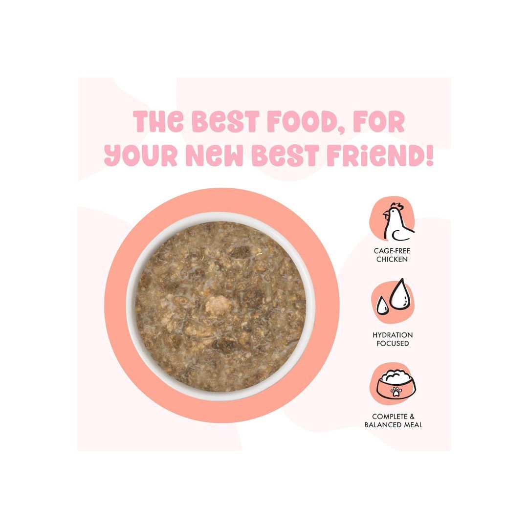 Bff Kitten Cuddle Buds Chicken & Salmon 2.8oz. (Case of 12)