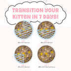 Bff Kitten Pawesome Purrs Chicken & Pumpkin 2.8oz. (Case of 12)