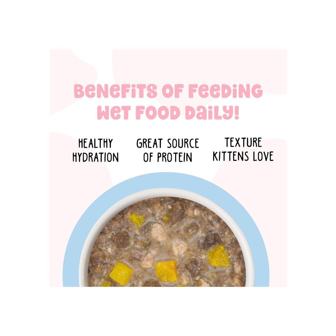 Bff Kitten Pawesome Purrs Chicken & Pumpkin 2.8oz. (Case of 12)