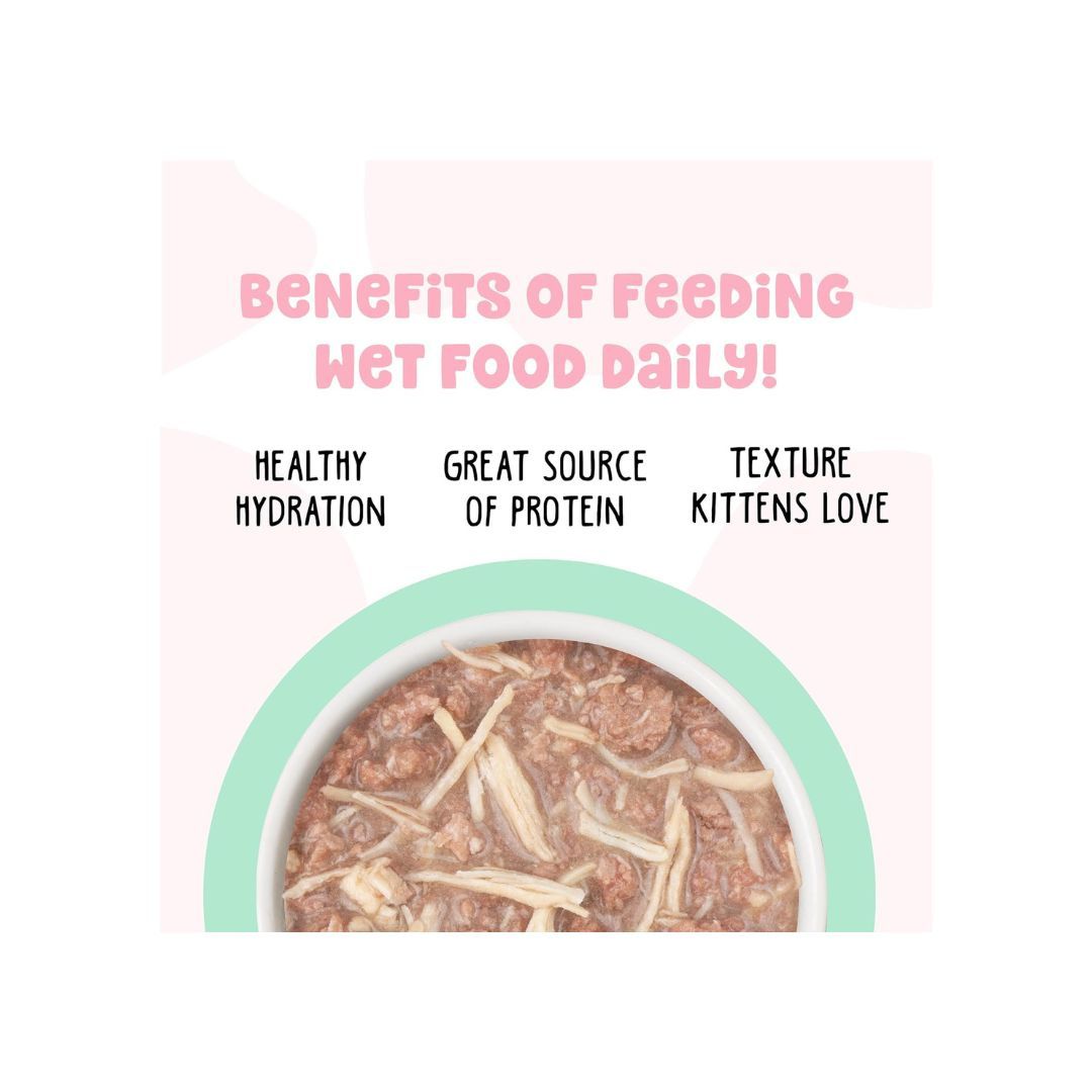 Bff Kitten Cha Cha Cha Chicken 2.8oz. (Case of 12)